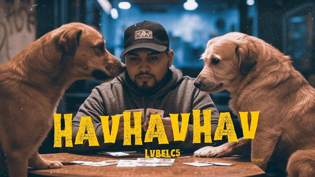"HavHav"