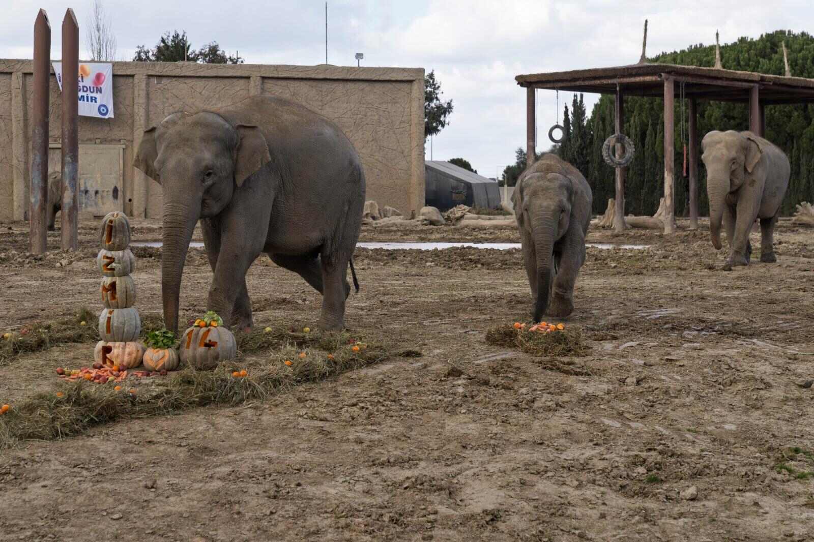 İzmir Doğal Yaşam Parkı