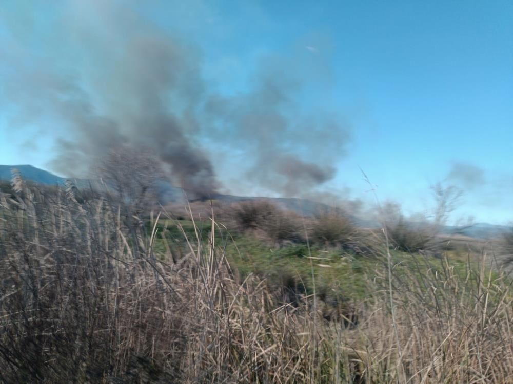 Muğla Büyükşehir Belediyesi Köyceğiz İtfaiye ekipler müdahale ediyor