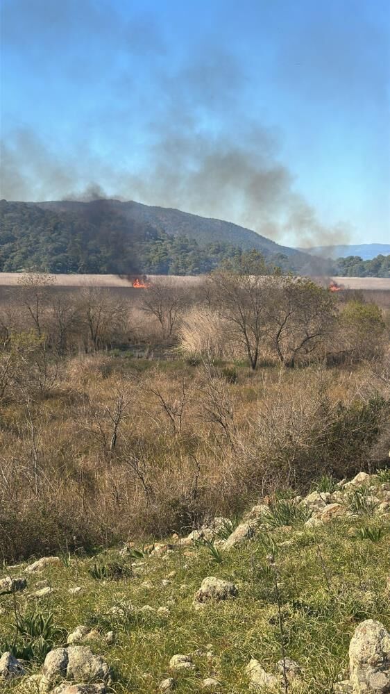 Yangının sebebi araştırılıyor