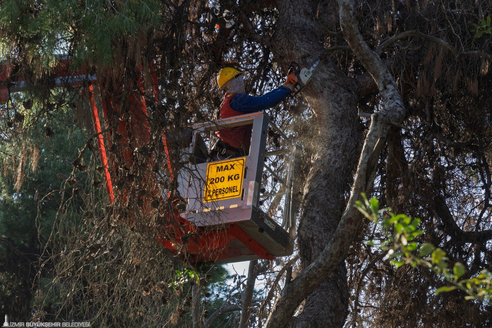 Kültürpark Yenileniyor (2)