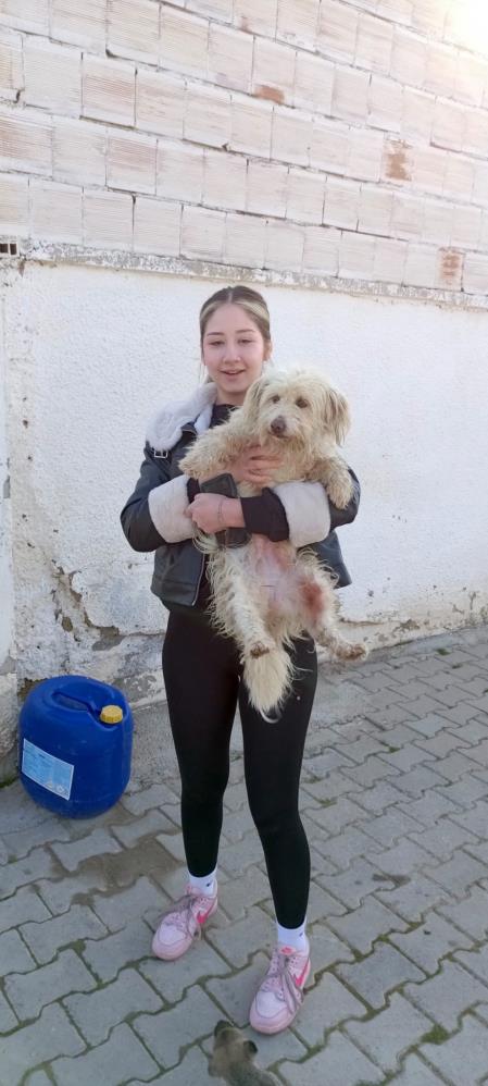 Kampanya kapsamında hayvanseverler, barınaktaki dostlarla tanışma fırsatı bulacak ve sahiplenme süreci hakkında detaylı bilgi alabilecek.