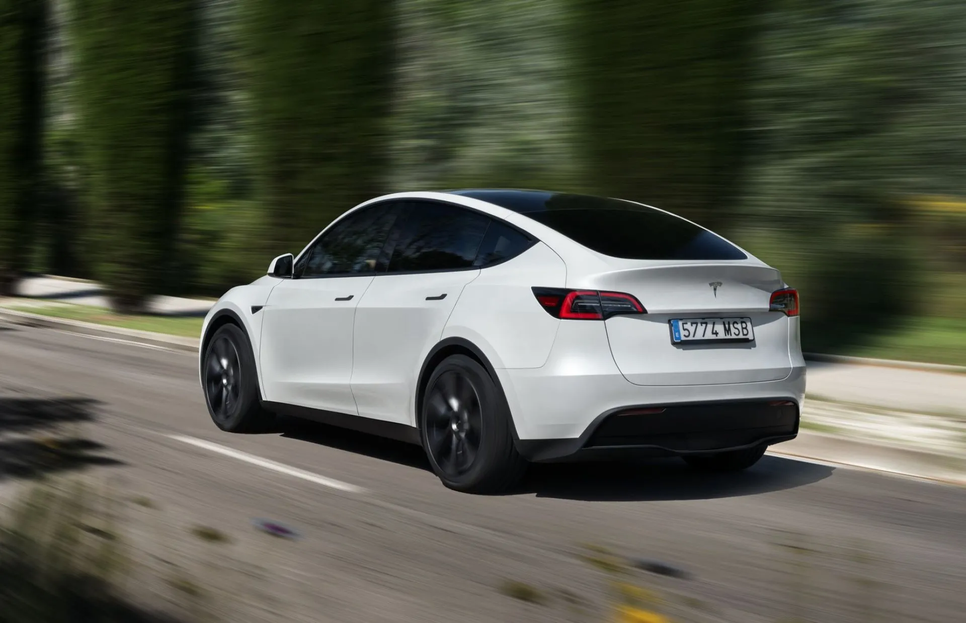 Tesla Model Y-2