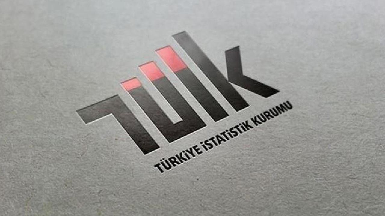 Tüik Logo