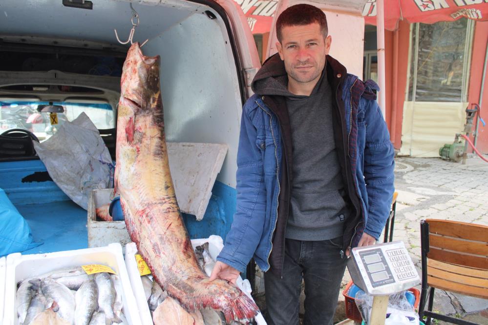 Aydın Kuraklık, Barajlardaki Balık Popülasyonu Etkiledi