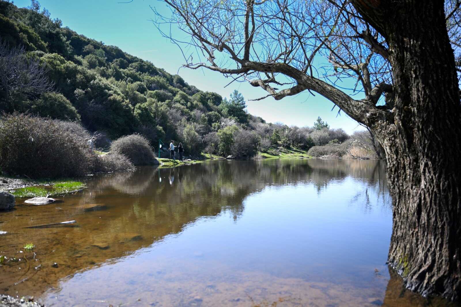 Bornova Homeros Vadisi