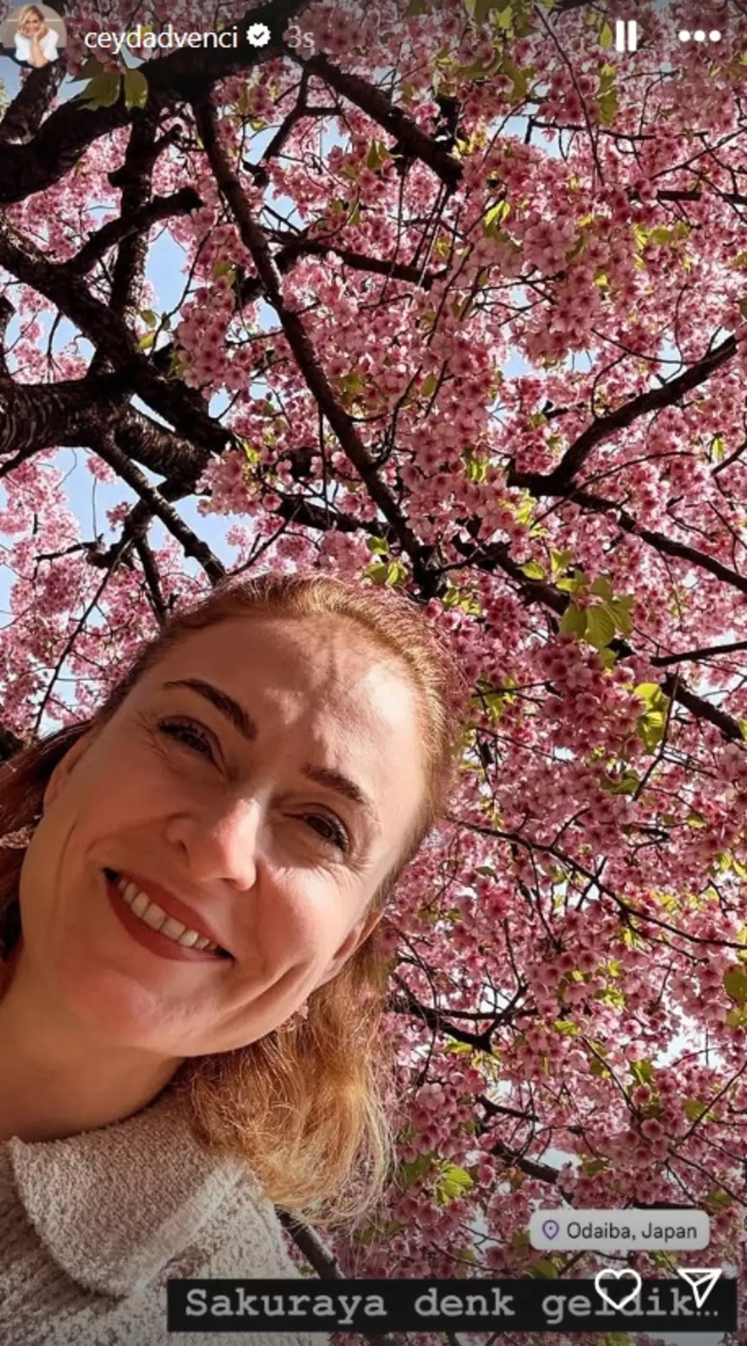 Sakura Mevsimine Denk Geldiler