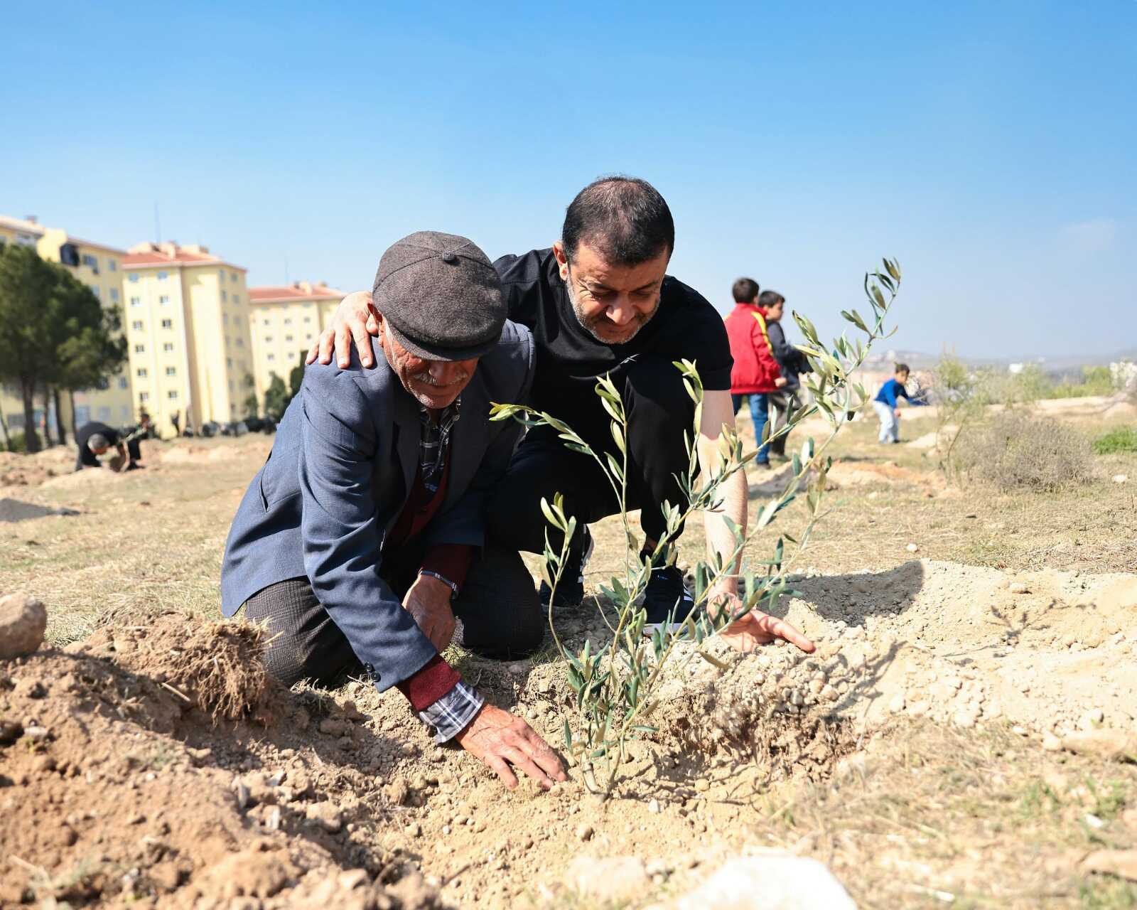 Denizli 8 Mart fidan dikimi