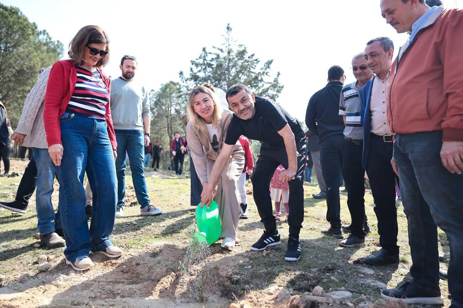 Denizli Fidan Dikimi