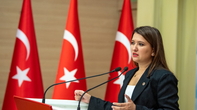 Gökçe Gökçen gelmedi