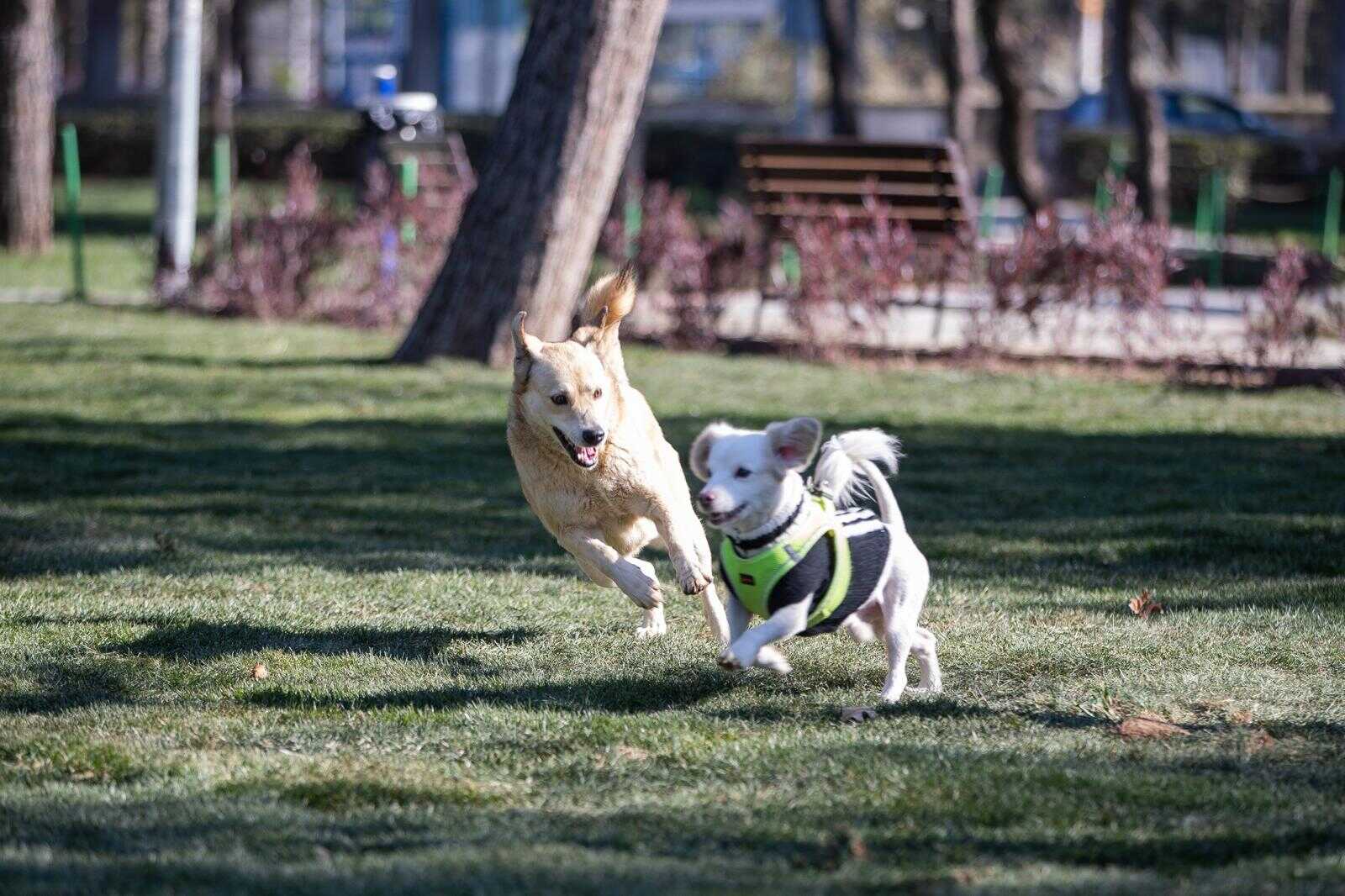 İzmir Hasanağa Bahçesi