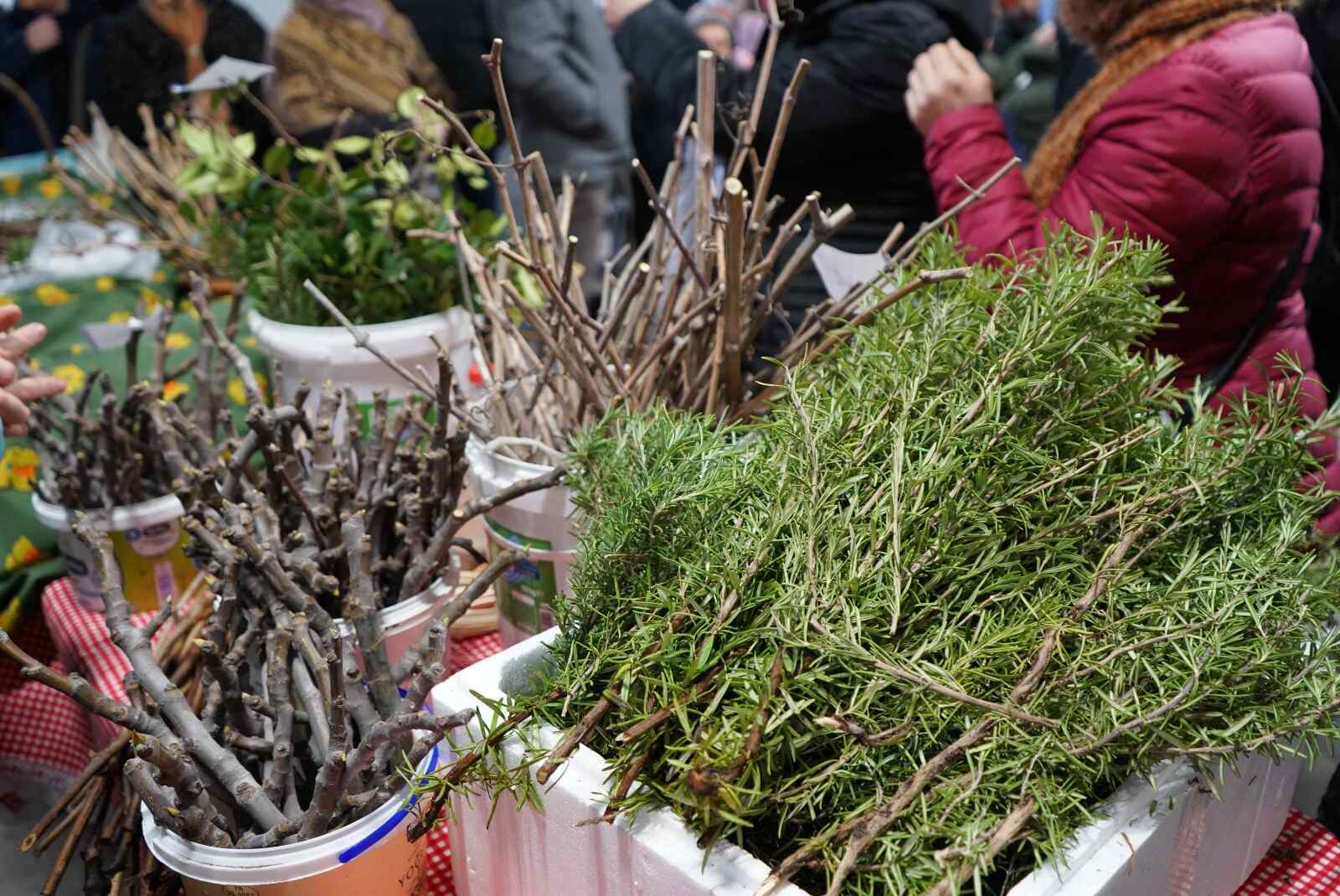 Johnson Su Kompost Bioreaktörü Eğitimi