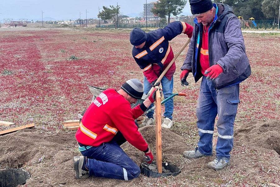 Kum Zambakları Koruma Altında (1)