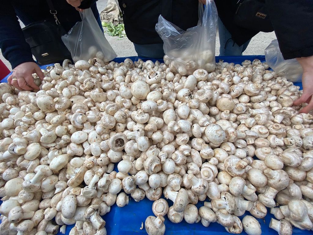 Mantar Pazar Tezgahı