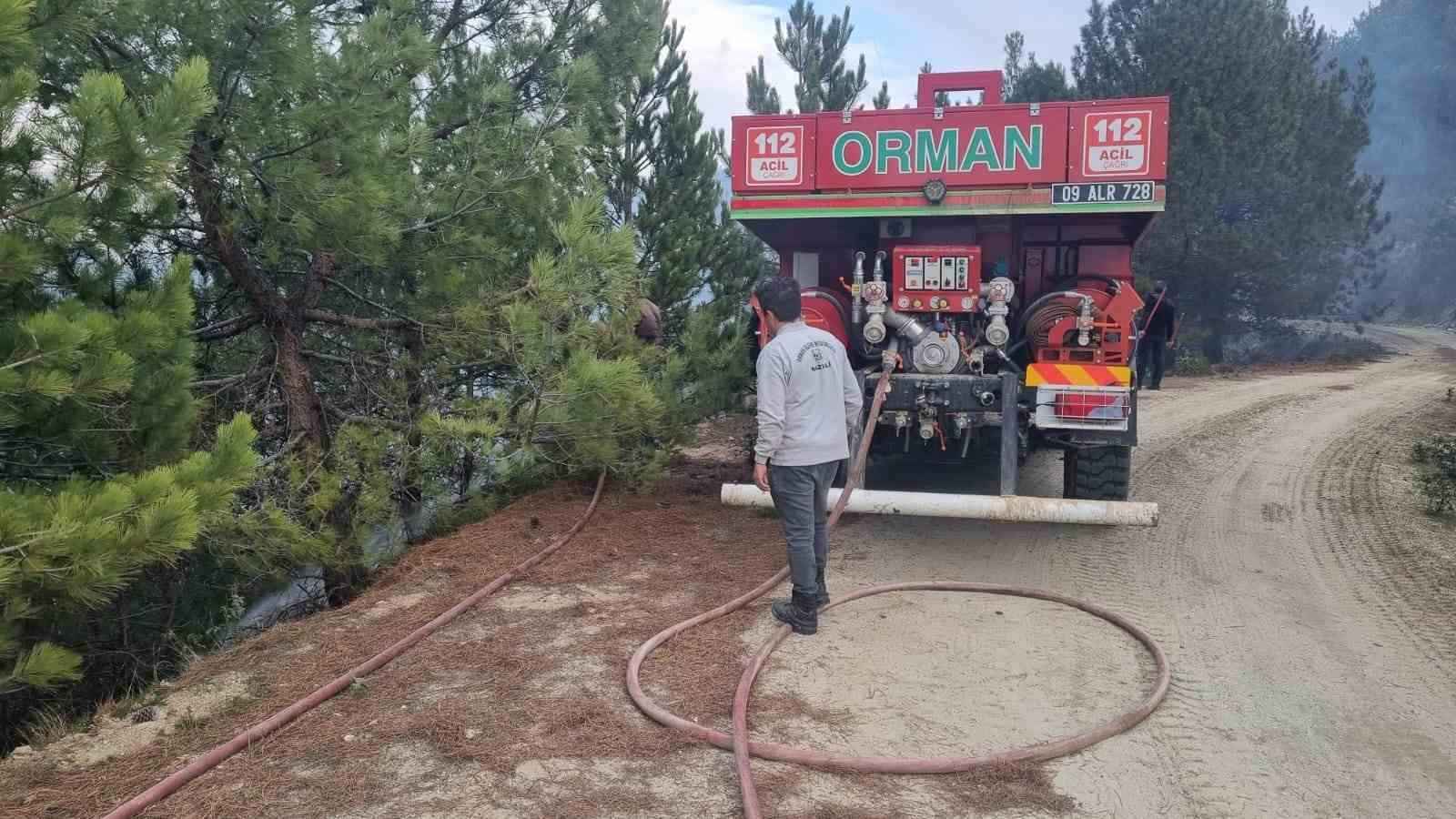 Nazilli Orman Yangını