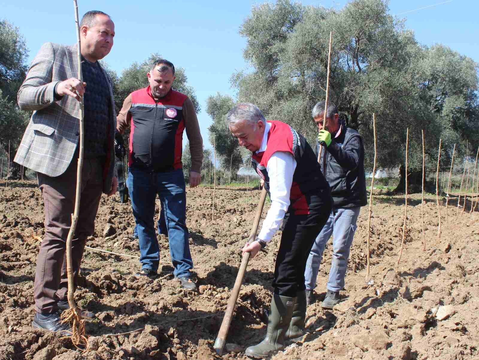 Ödemiş'te Ipek Böceği Yetiştiric (1)