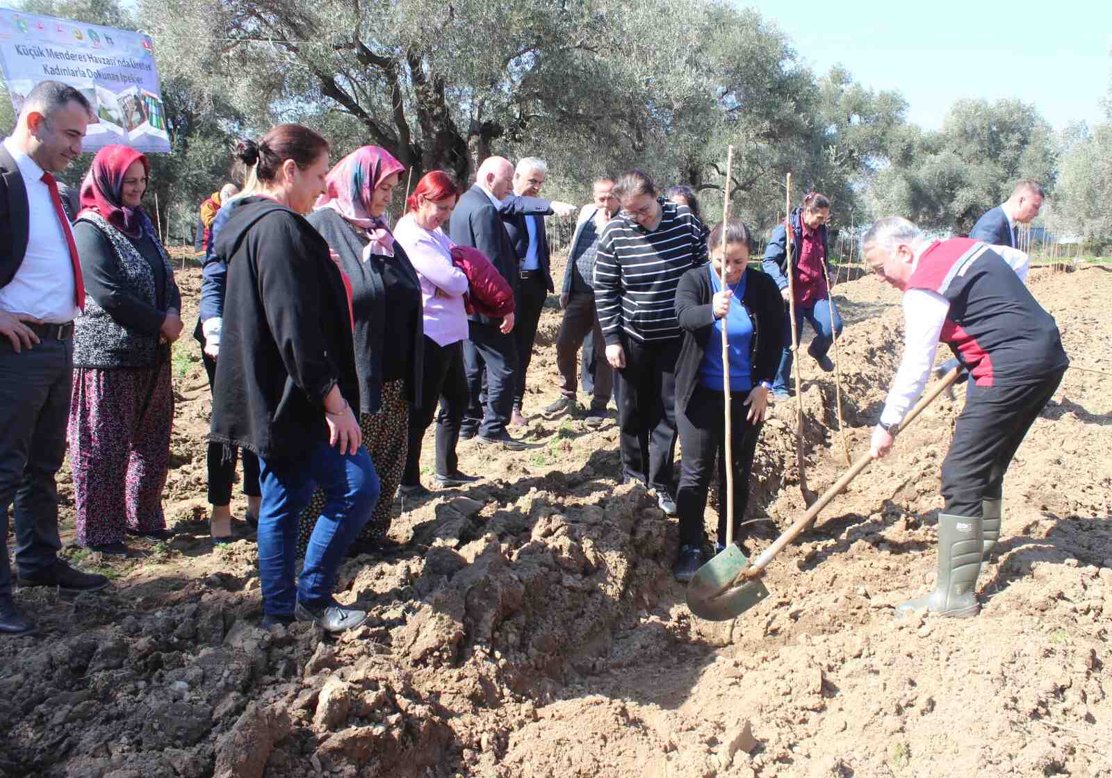 Ödemiş'te Ipek Böceği Yetiştiric