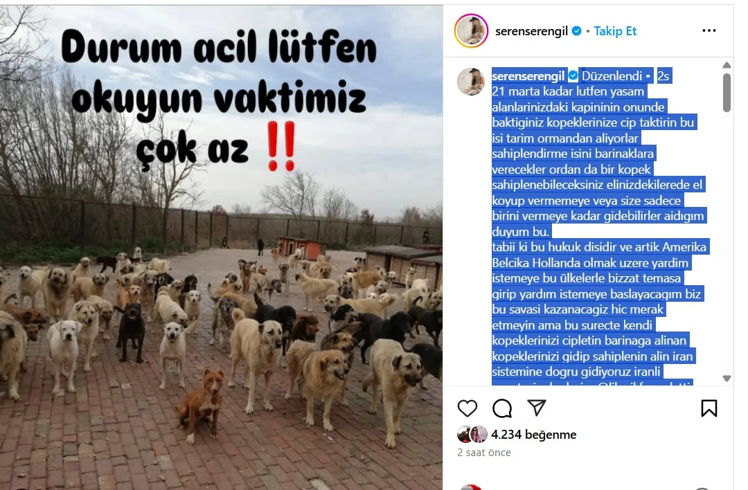 Seren Serengil Paylaşım-1