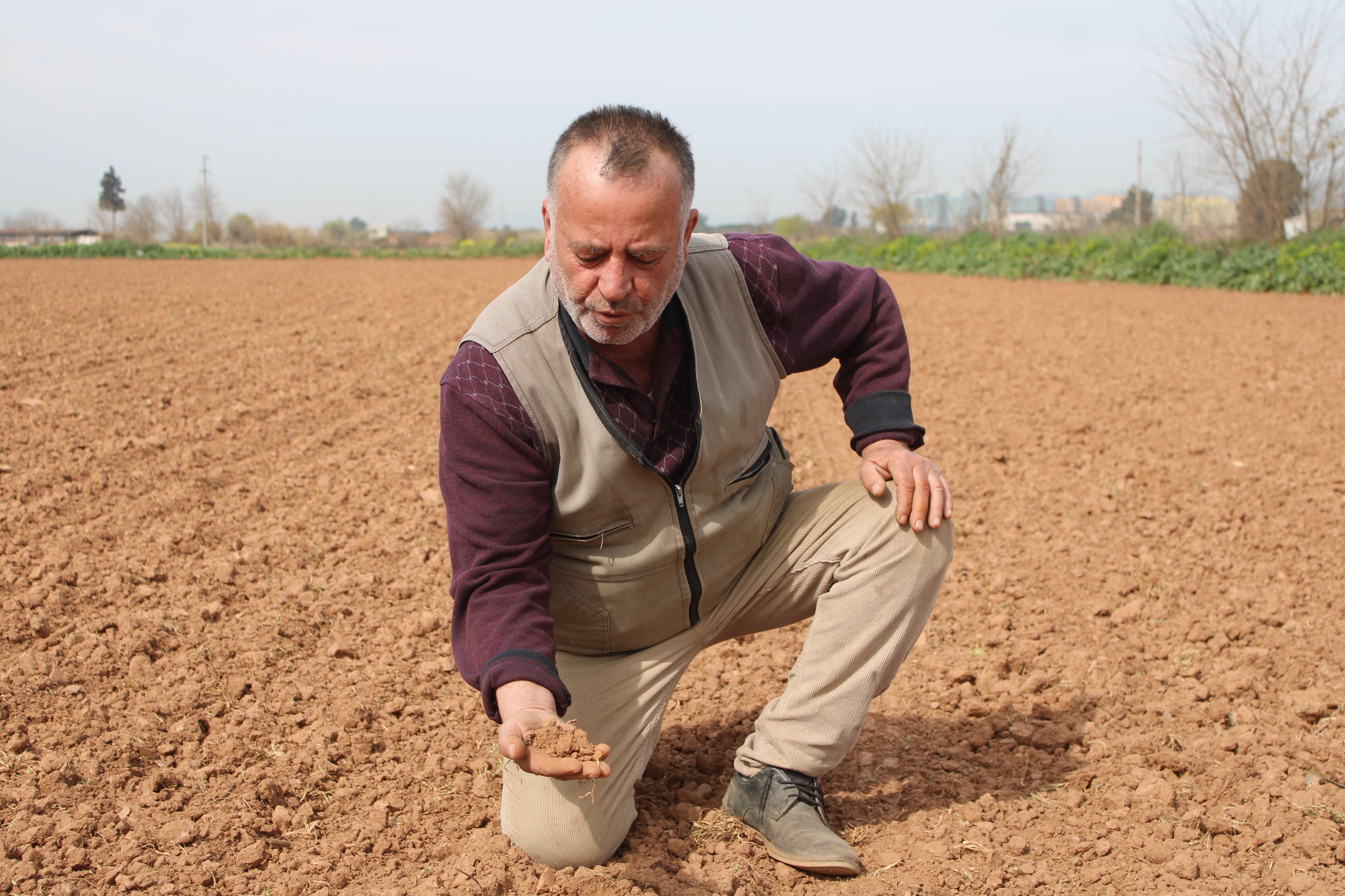 "Komşum biçiyor, ben bakıyorum"