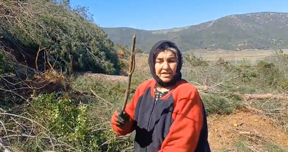 Tire Çayırlı Köyü-1