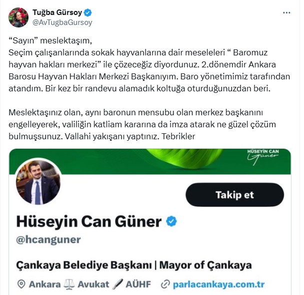 Tuğba Gürsoy