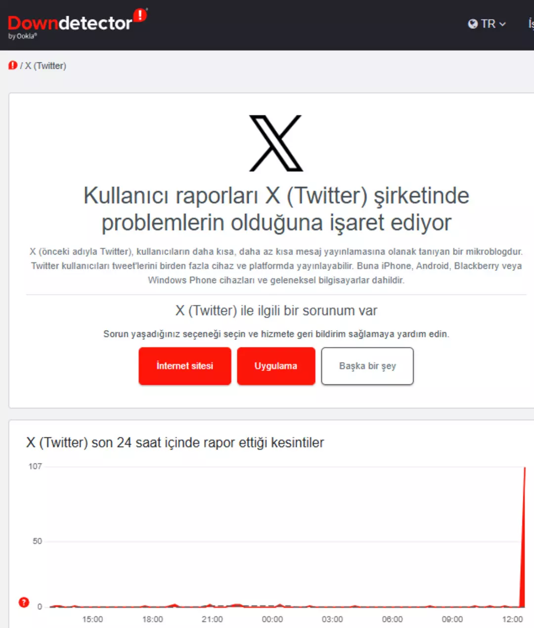 Twitter X Hatası