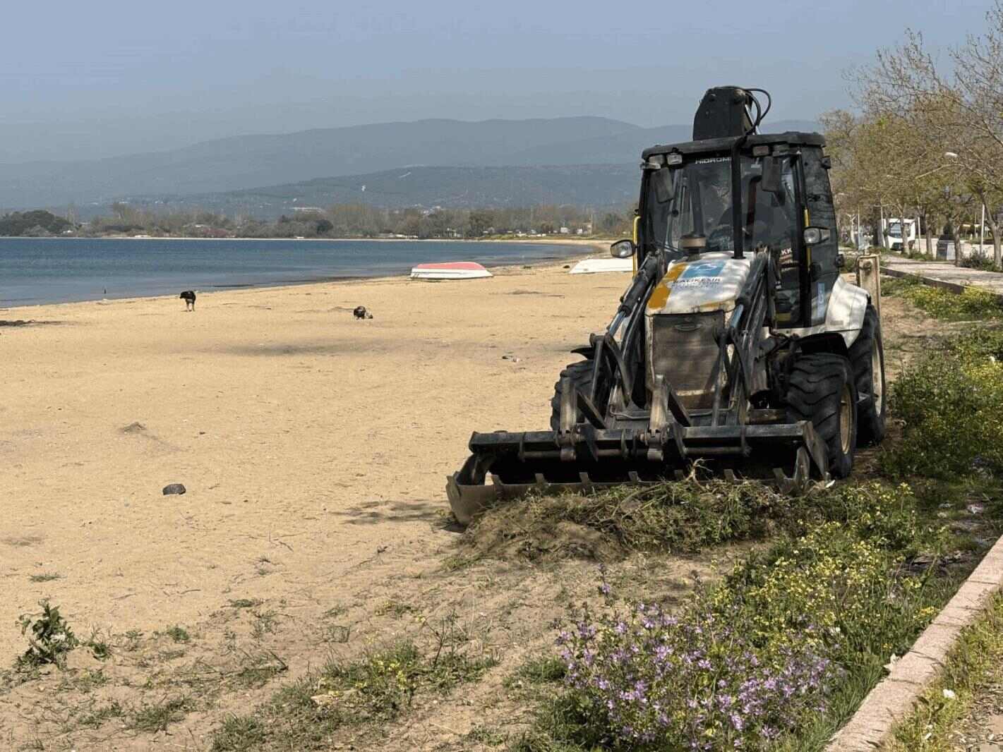 Balıkesir plajları