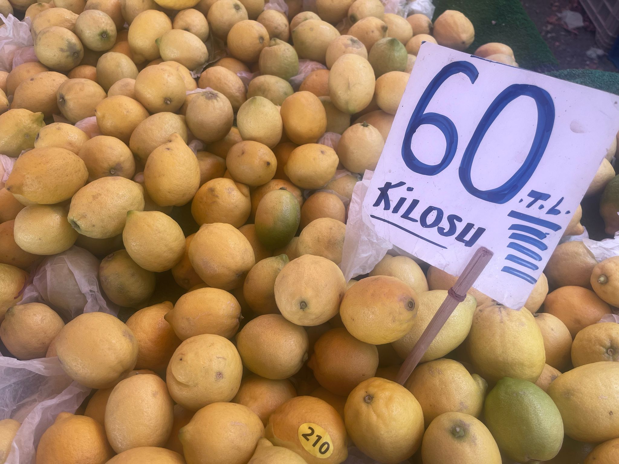 Limon fiyatı