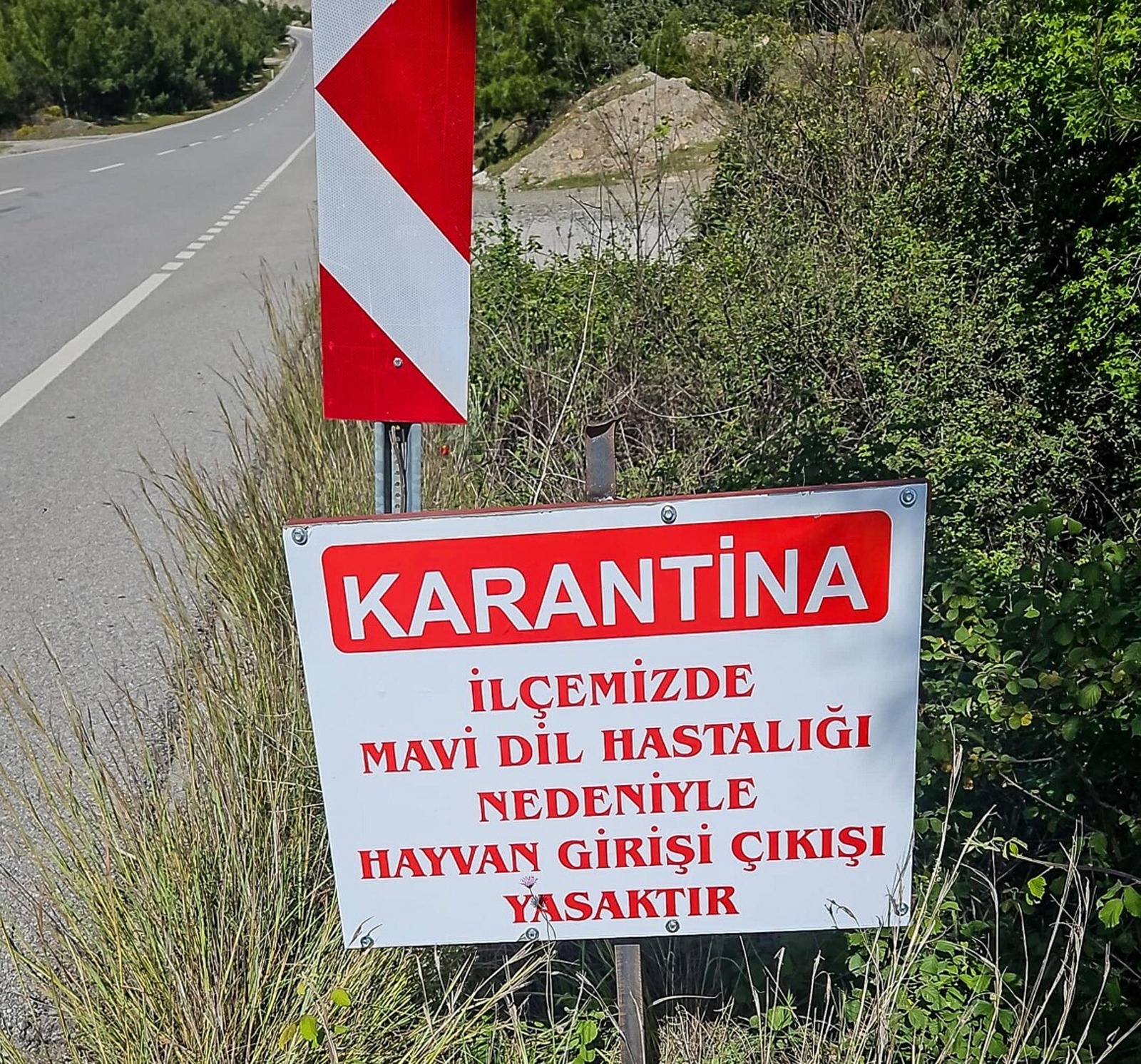 Hayvan giriş çıkışları yasaklandı
