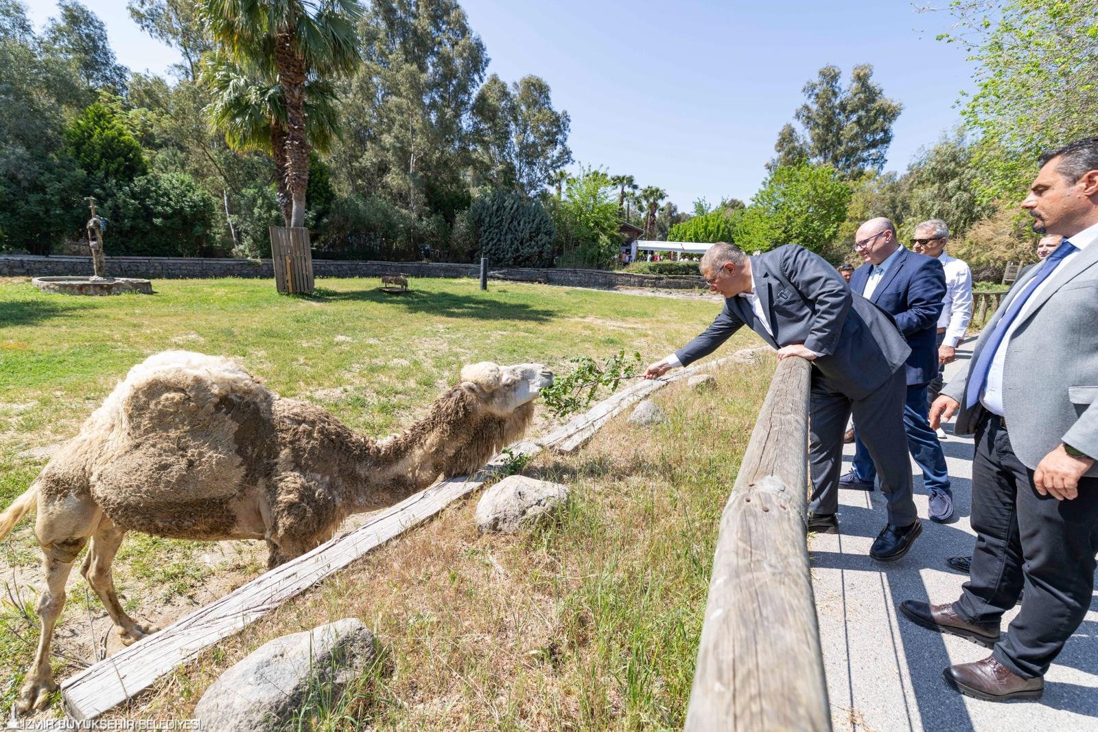 Doğal Yaşam Parkı (2)