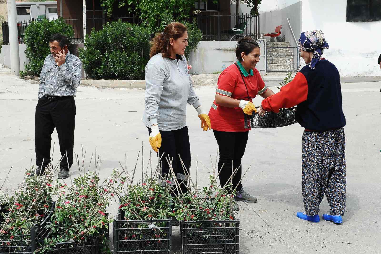 fidan dağıtım etkinliği