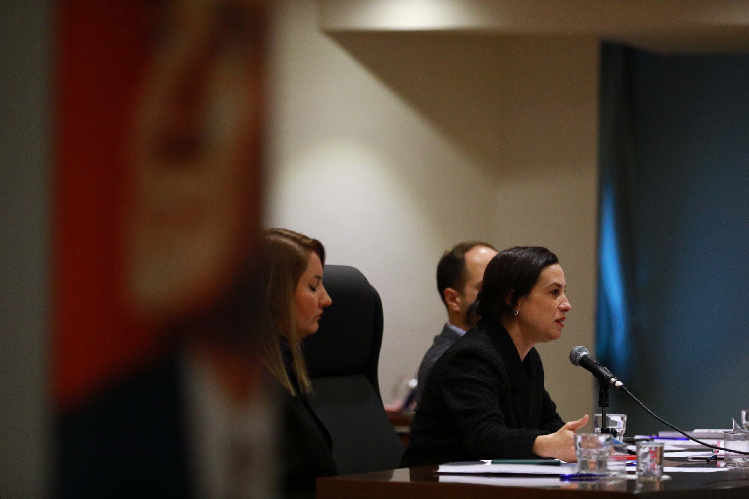Filiz Ceritoğlu Sengel