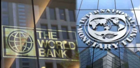 IMF ve Dünya Bankası
