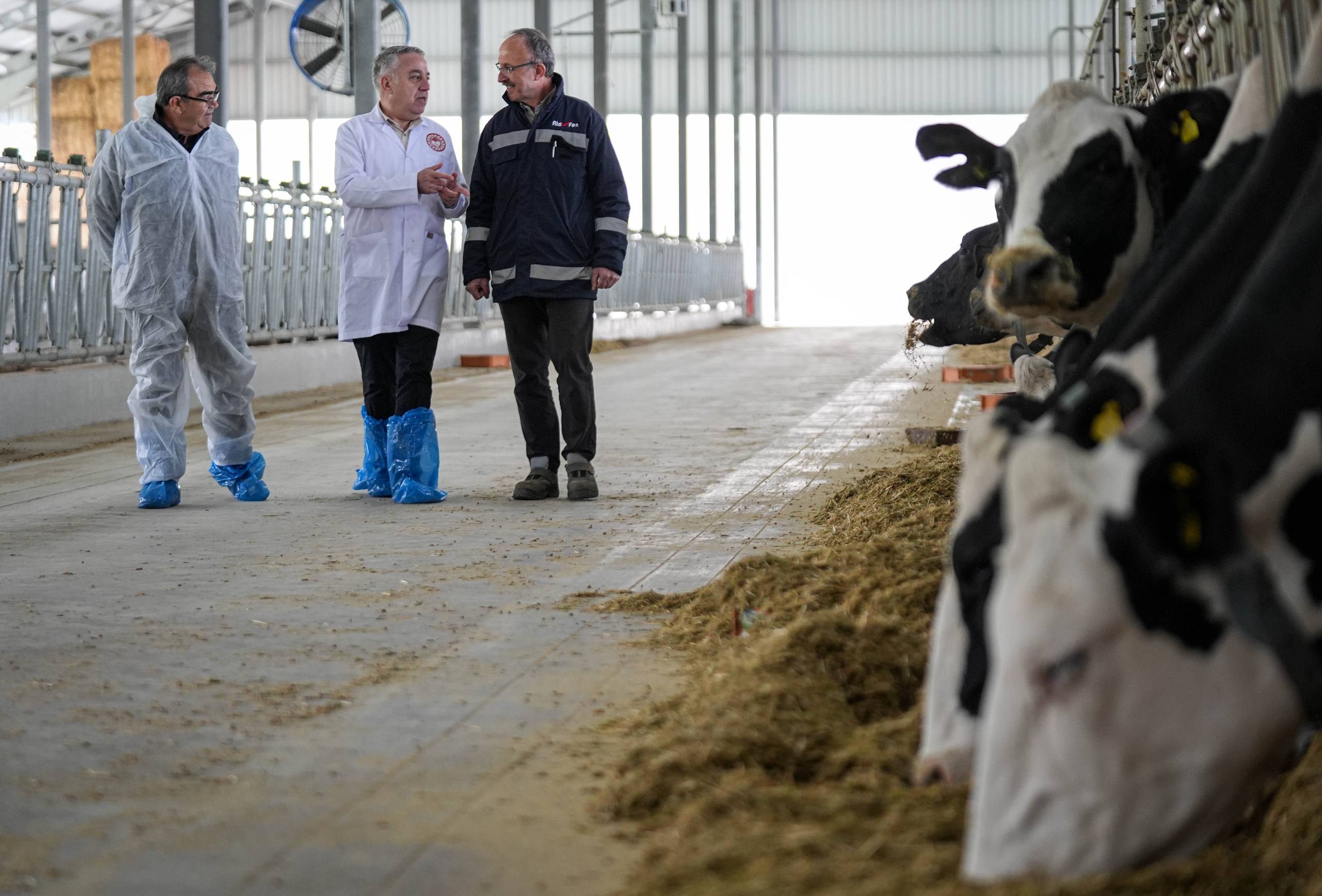 Izmir Sütün Başkenti Olacak (4)