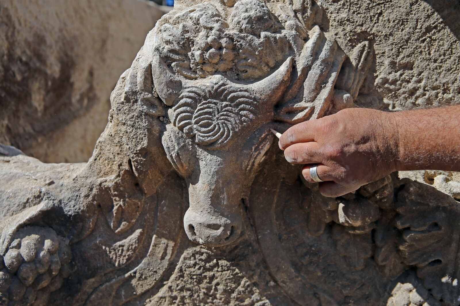 Lagina Kazı Heyeti