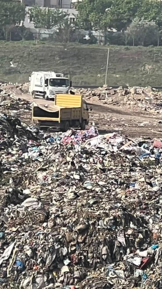 Osmangazi'dehayvan Katliamı Kenti Ayağa Kaldırdı