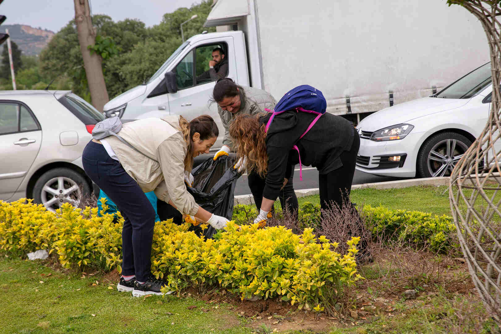 Seferihisar Orta Refüjü