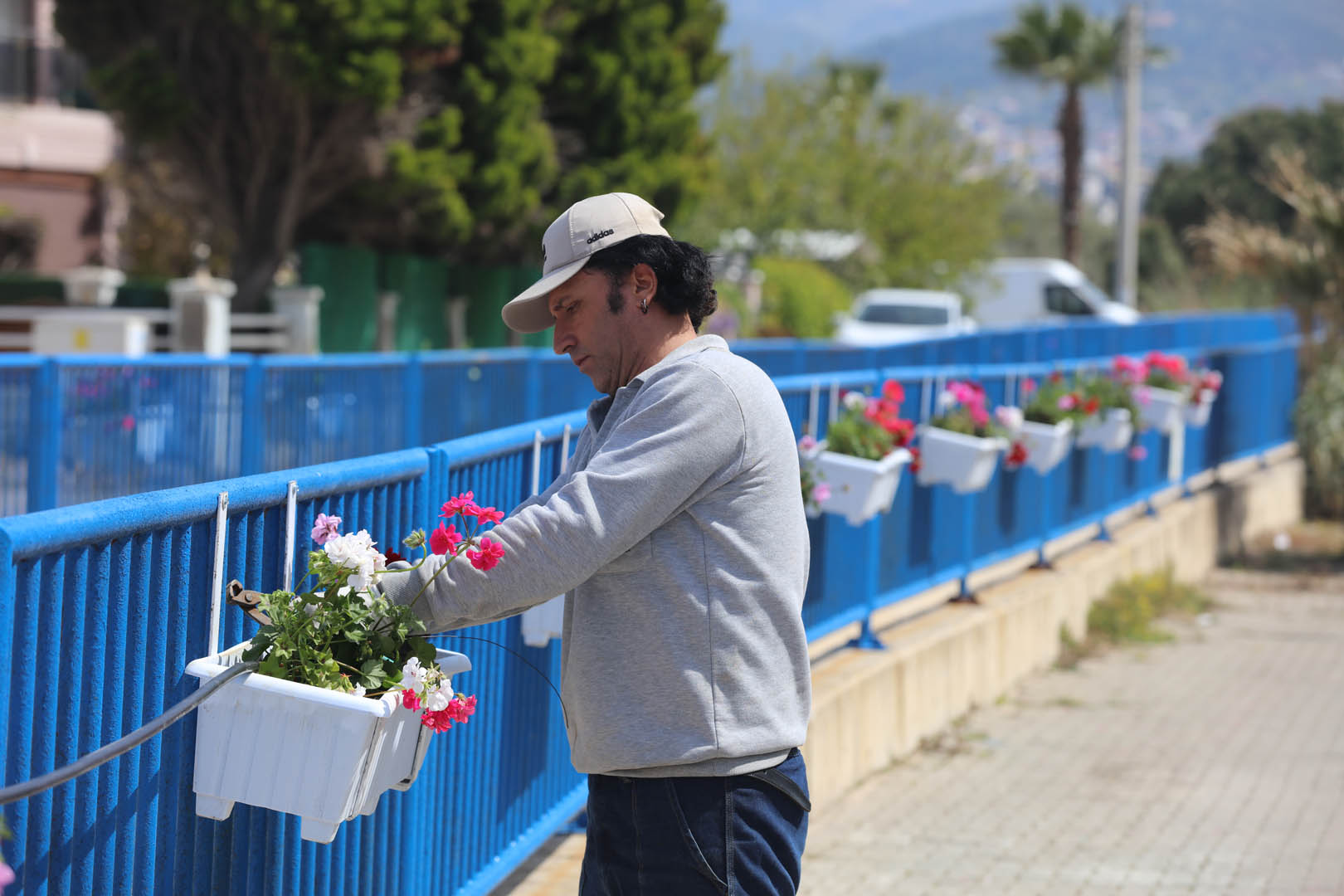 Seferihisar yolu