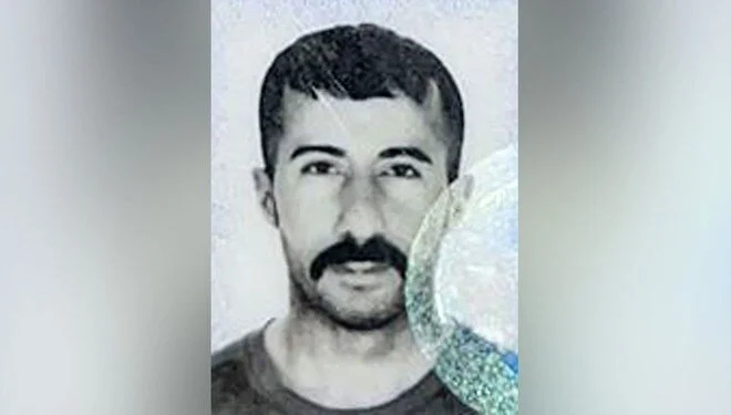 Sezer Bozkurt Kimdir