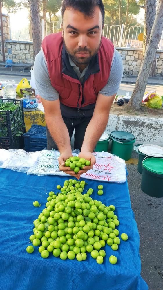 Vazgeçilmez Yaz Meyvesi Erik Tezgahlarda Yerini Aldı