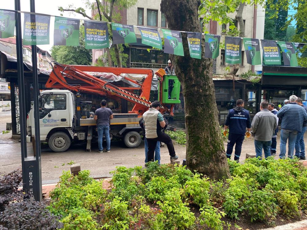 “Ağaçlar dedelerimizin diktiği çınarlar”