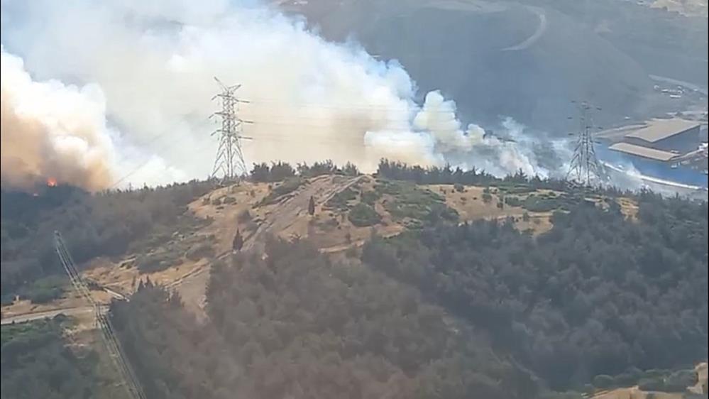 Aliağa Orman Yangını