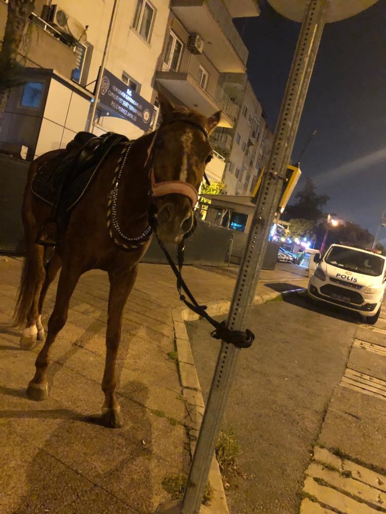 Atla Ceza Yiyen Adam 1