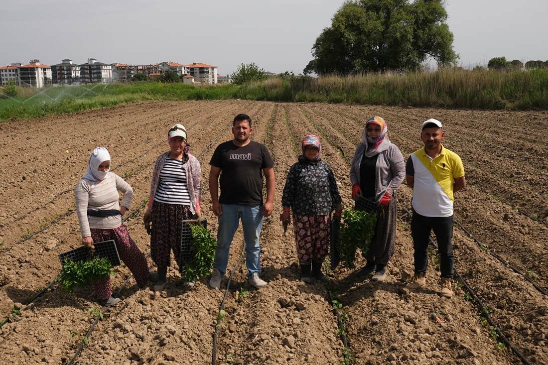 Ayvalık Belediyesi