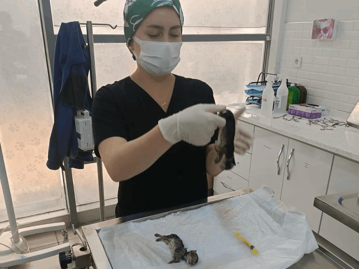 Balıkesir Büyükşehir Belediyesi