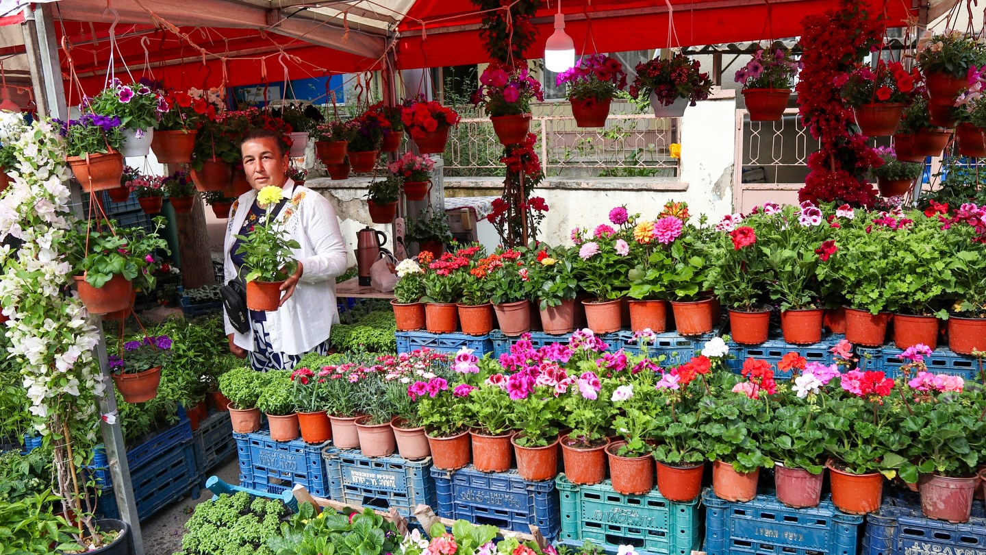 Bayındır Çiçek Festivali (13)