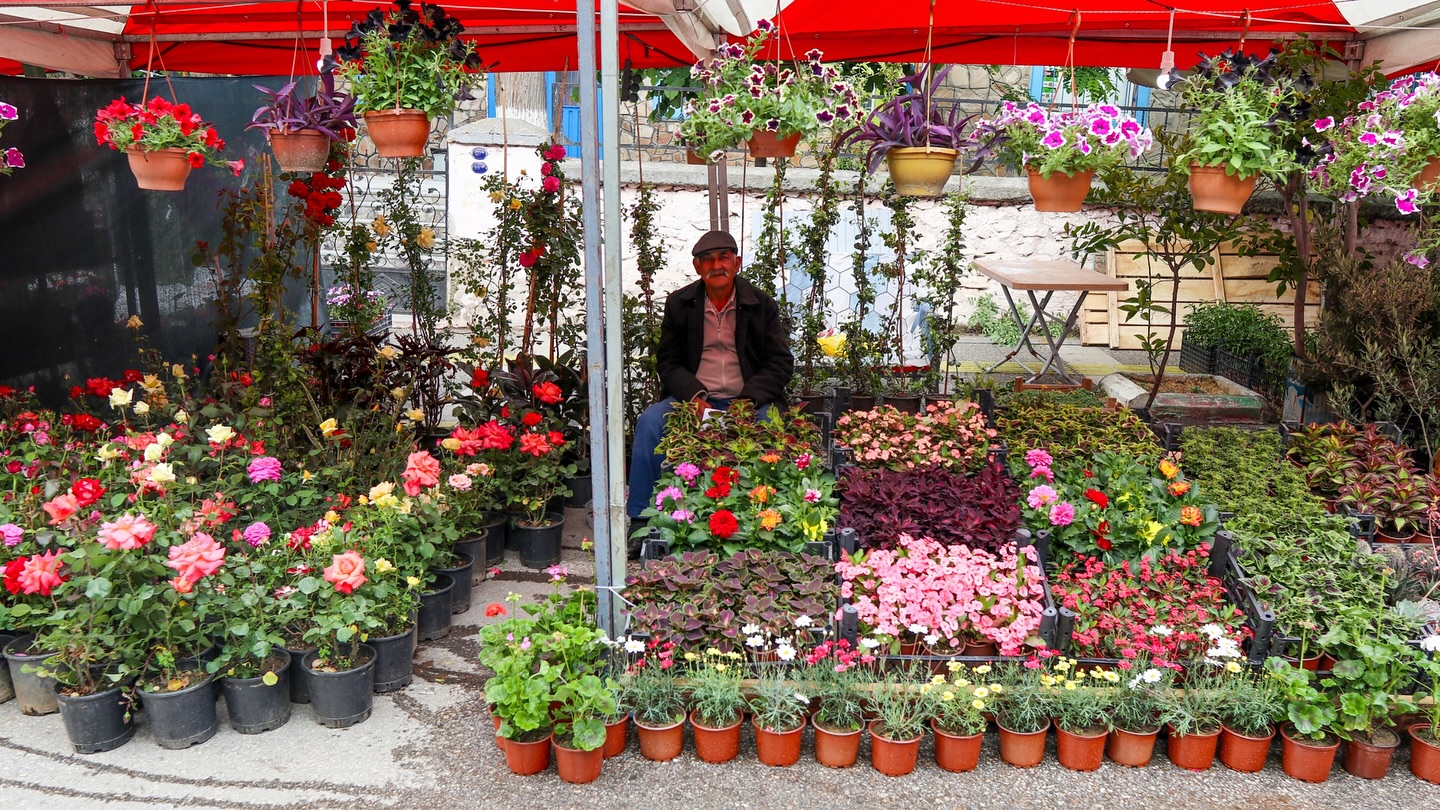 Bayındır Çiçek Festivali (16)