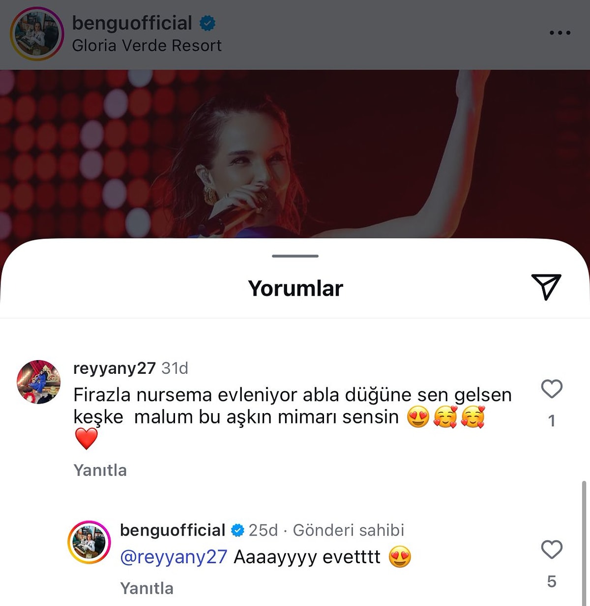 Bengü Kızılcık Şerbeti