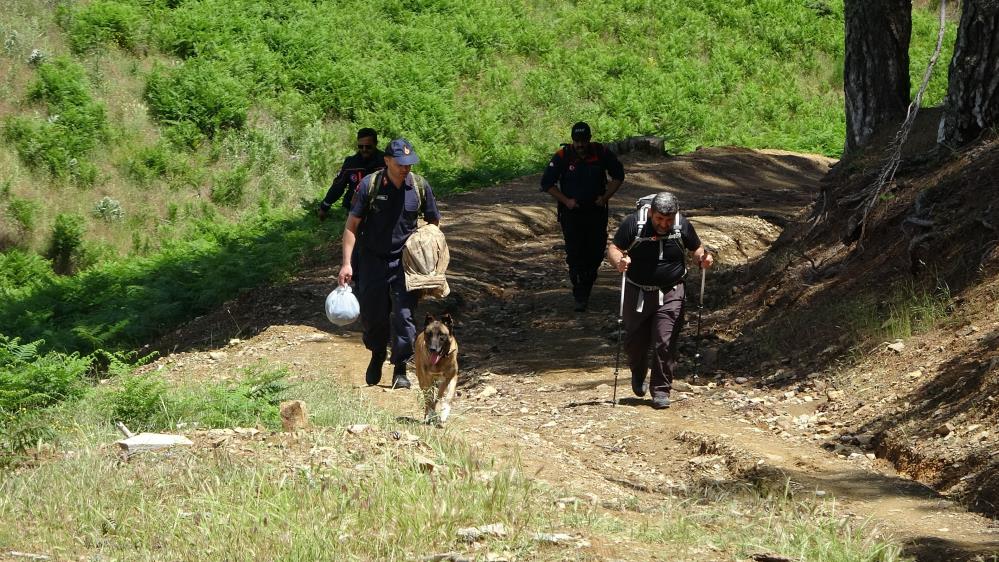 AFAD ve jandarma koordinesinde aranıyor