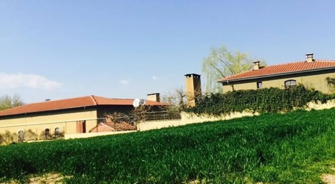 15’i aşkın köpek ve birçok hayvan